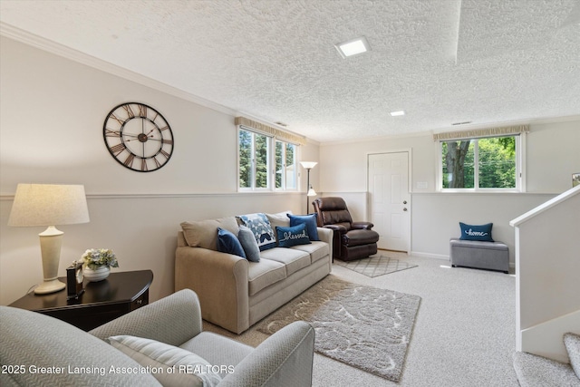 6252 N River Hwy, Grand Ledge, MI 48837 - carpeted living area with a textured ceiling and crown molding