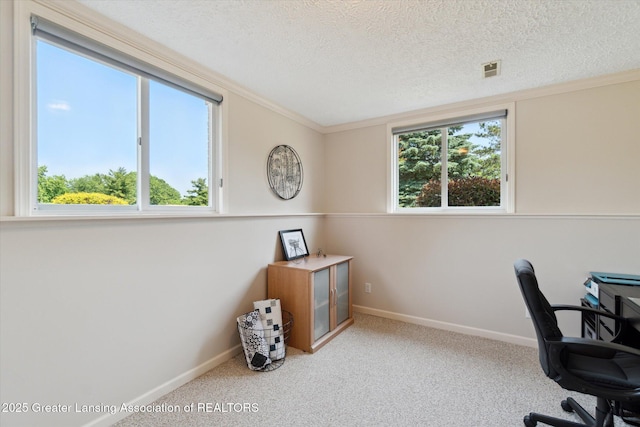 6252 N River Hwy, Grand Ledge, MI 48837 - carpeted home office featuring plenty of natural light, a textured ceiling, and ornamental molding