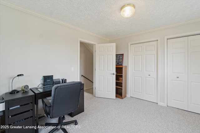 6252 N River Hwy, Grand Ledge, MI 48837 - office with a textured ceiling, light colored carpet, and ornamental molding