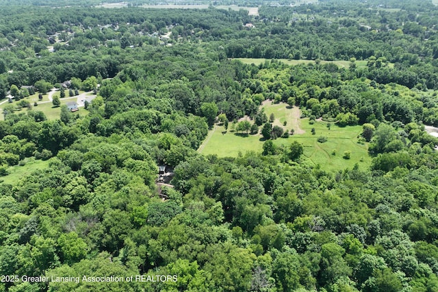 6252 N River Hwy, Grand Ledge, MI 48837 - drone / aerial view of a forest