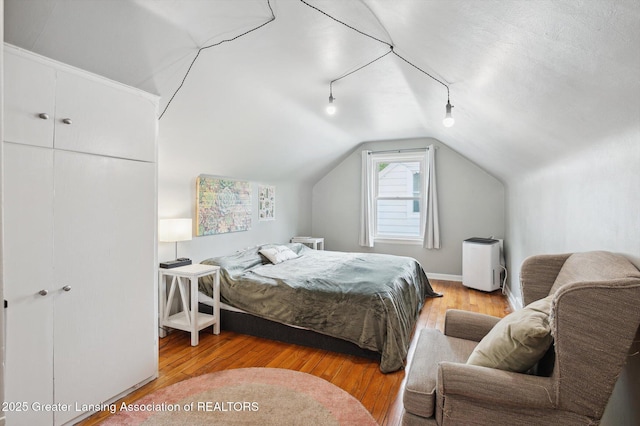 1424 Woodbine Ave, Lansing, MI 48910 - bedroom with wood finished floors, rail lighting, and lofted ceiling