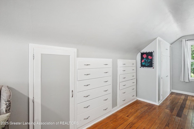 1424 Woodbine Ave, Lansing, MI 48910 - bonus room featuring dark wood finished floors and vaulted ceiling