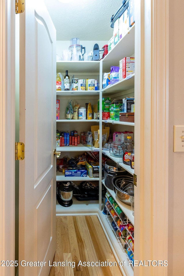 4001 Sierra Hts, Holt, MI 48842 - view of pantry