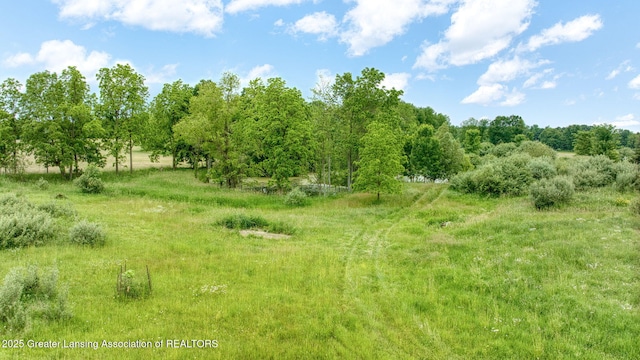 7275 W Winegar Rd, Perry, MI 48872