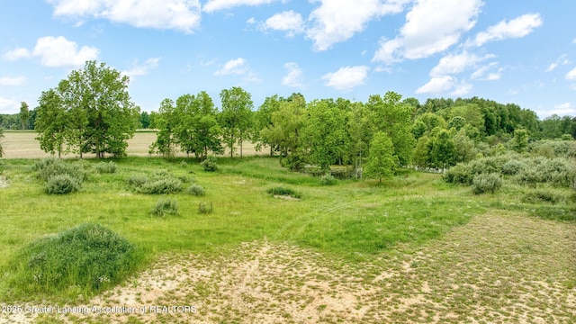 7275 W Winegar Rd, Perry, MI 48872