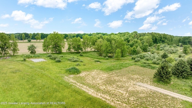 7275 W Winegar Rd, Perry, MI 48872
