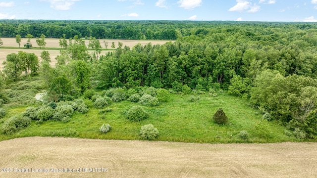 7275 W Winegar Rd, Perry, MI 48872