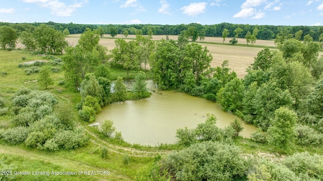 7275 W Winegar Rd, Perry, MI 48872
