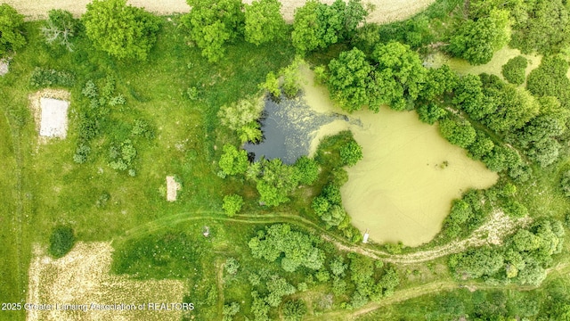 7275 W Winegar Rd, Perry, MI 48872