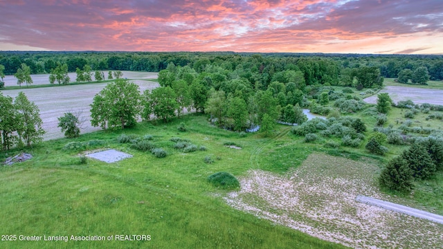 7275 W Winegar Rd, Perry, MI 48872
