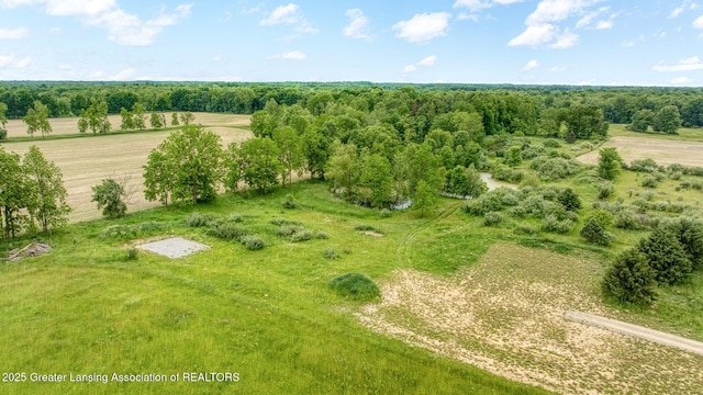 7275 W Winegar Rd, Perry, MI 48872
