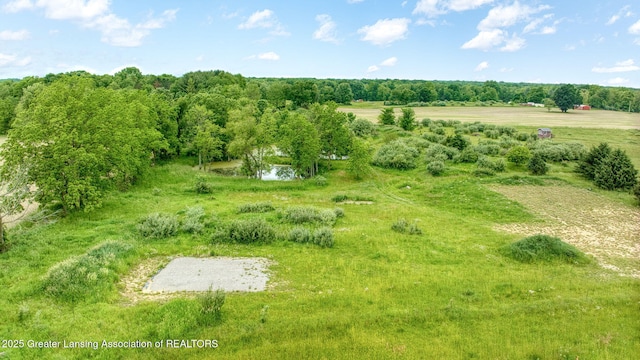 7275 W Winegar Rd, Perry, MI 48872