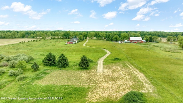 7275 W Winegar Rd, Perry, MI 48872