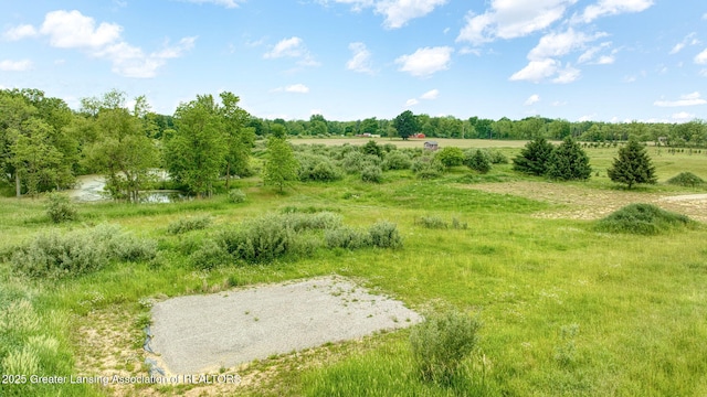 7275 W Winegar Rd, Perry, MI 48872