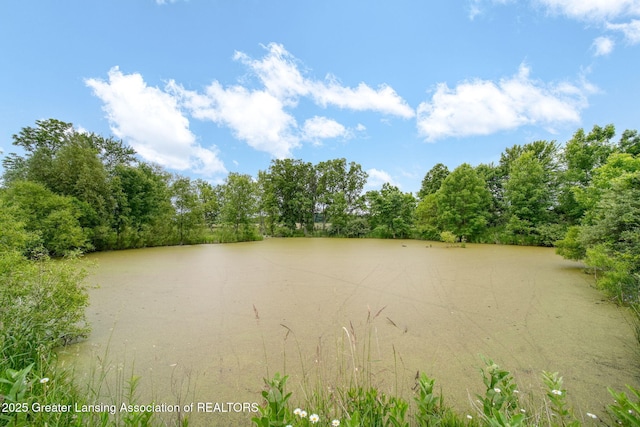 7275 W Winegar Rd, Perry, MI 48872