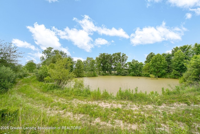 7275 W Winegar Rd, Perry, MI 48872