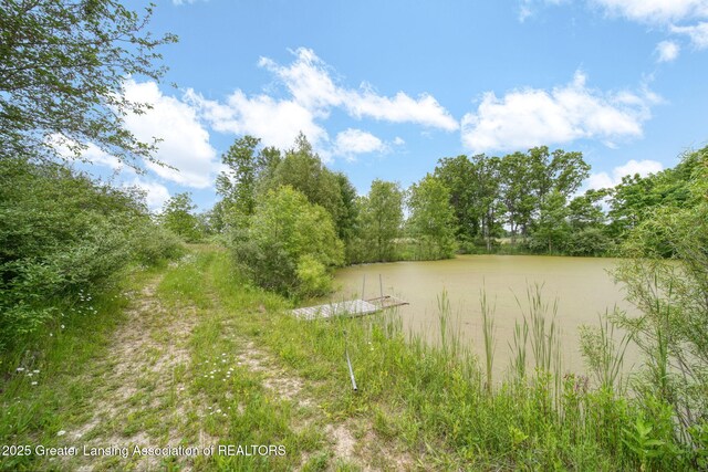 7275 W Winegar Rd, Perry, MI 48872