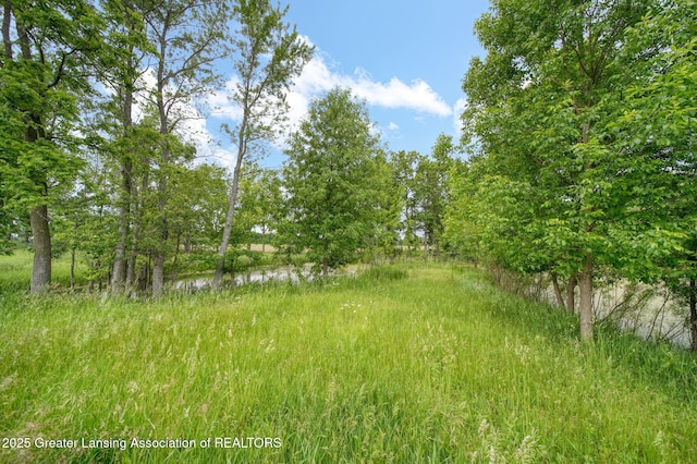 7275 W Winegar Rd, Perry, MI 48872