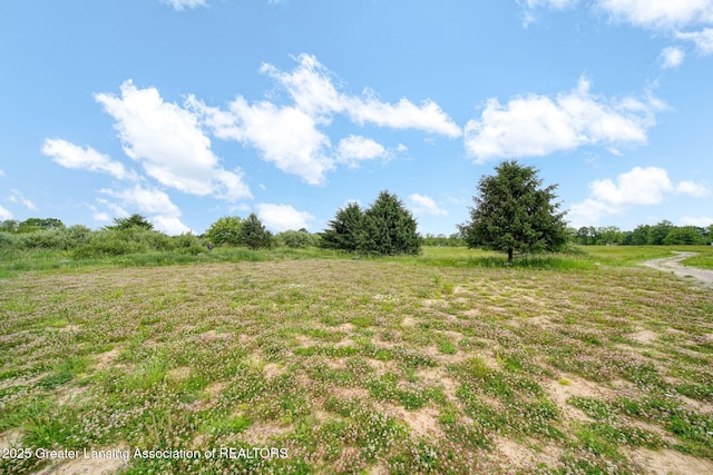 7275 W Winegar Rd, Perry, MI 48872