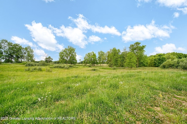 7275 W Winegar Rd, Perry, MI 48872