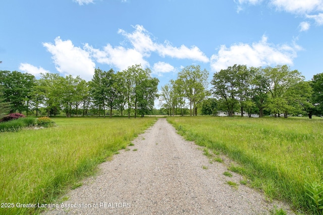 7275 W Winegar Rd, Perry, MI 48872