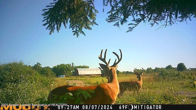7275 W Winegar Rd, Perry, MI 48872