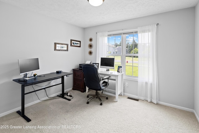 3913 Danbridge Dr, Lansing, MI 48906 - office space with carpet floors and a textured ceiling