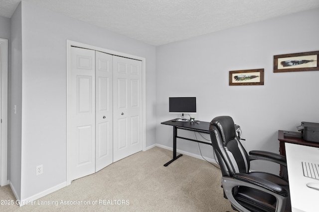 3913 Danbridge Dr, Lansing, MI 48906 - home office with carpet floors and a textured ceiling