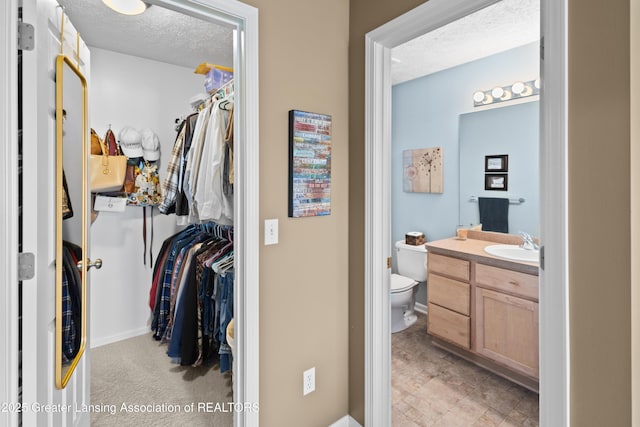 3913 Danbridge Dr, Lansing, MI 48906 - bathroom with vanity, a textured ceiling, and a spacious closet