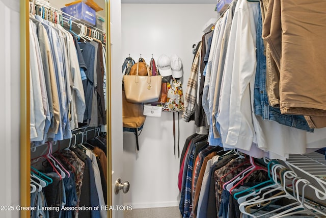 3913 Danbridge Dr, Lansing, MI 48906 - spacious closet featuring carpet floors