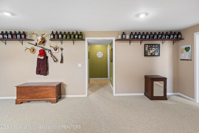 3913 Danbridge Dr, Lansing, MI 48906 - corridor with carpet flooring
