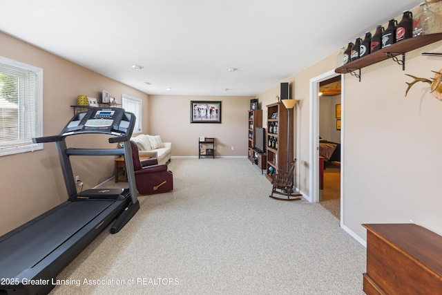 3913 Danbridge Dr, Lansing, MI 48906 - exercise area featuring carpet