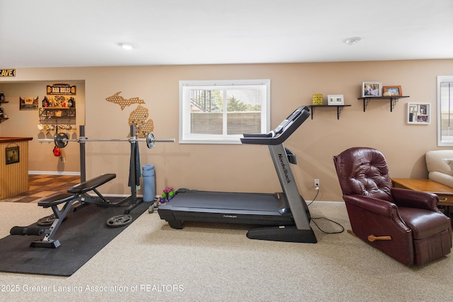 3913 Danbridge Dr, Lansing, MI 48906 - workout area featuring carpet
