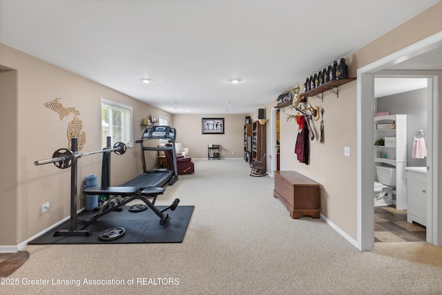 3913 Danbridge Dr, Lansing, MI 48906 - workout room featuring carpet flooring