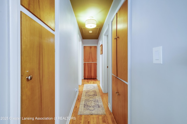 425 S Holmes St, Lansing, MI 48912 - corridor with light wood finished floors and baseboards
