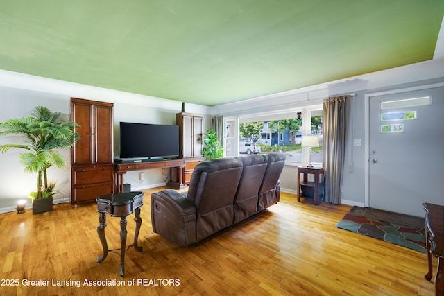 425 S Holmes St, Lansing, MI 48912 - living area featuring light wood finished floors and baseboards