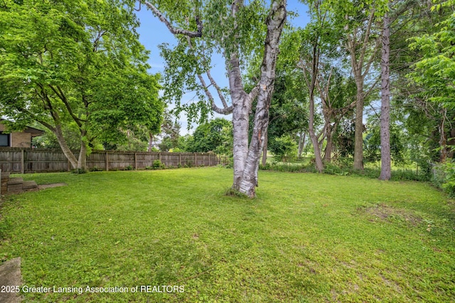 425 S Holmes St, Lansing, MI 48912 - view of yard
