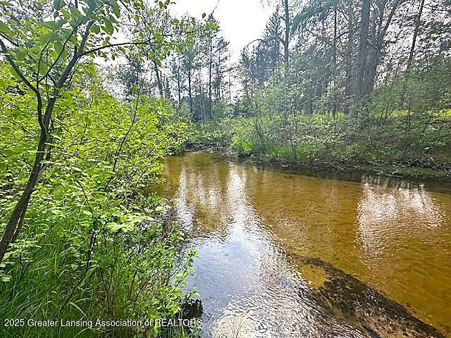 10886 SE Gillow Rd, Fife Lake, MI 49633 - water view