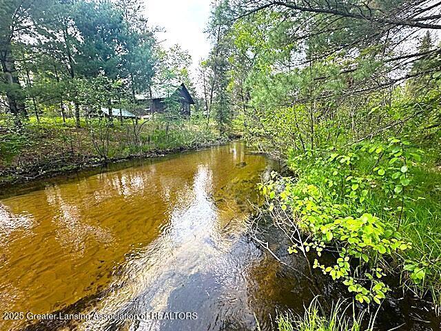 10886 SE Gillow Rd, Fife Lake, MI 49633 - water view