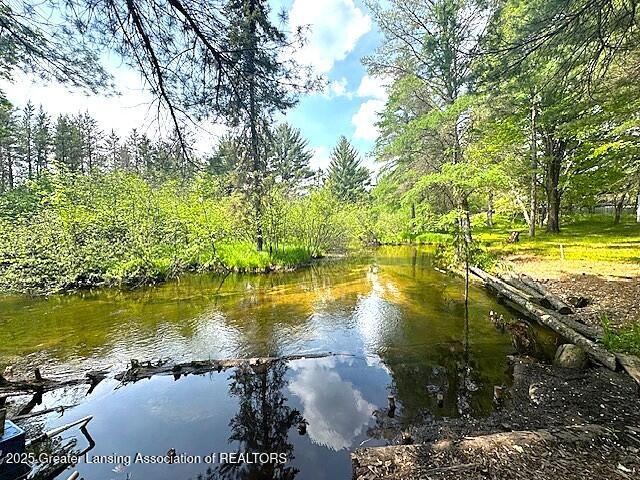 10886 SE Gillow Rd, Fife Lake, MI 49633 - water view