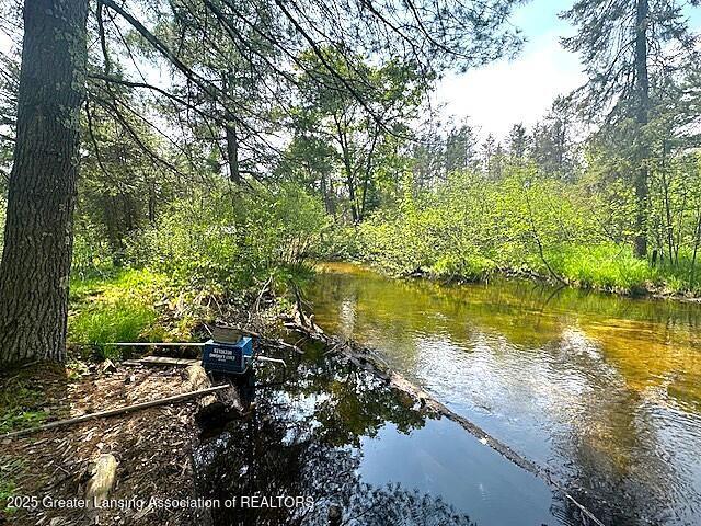 10886 SE Gillow Rd, Fife Lake, MI 49633 - view of dock