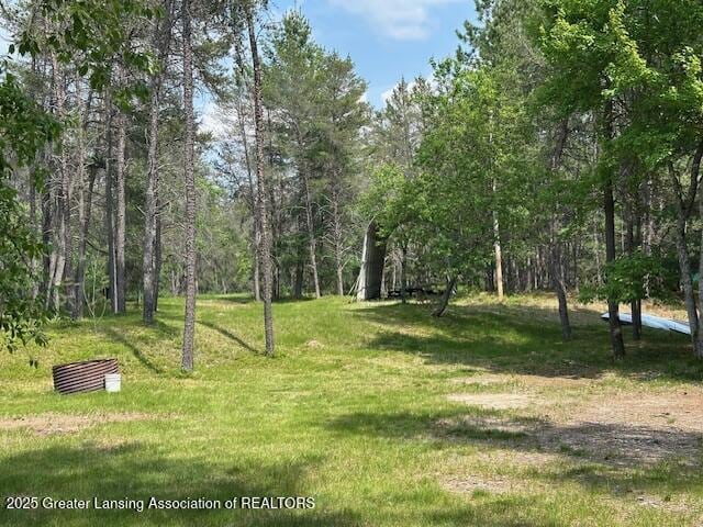 10886 SE Gillow Rd, Fife Lake, MI 49633 - view of grassy yard featuring a view of trees