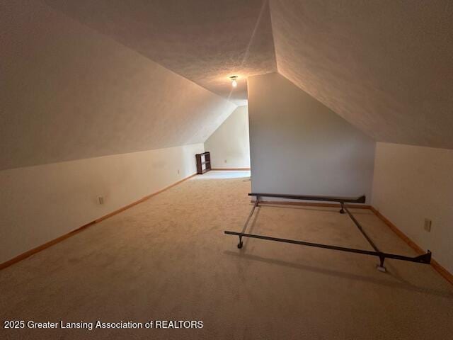 10886 SE Gillow Rd, Fife Lake, MI 49633 - additional living space with carpet and vaulted ceiling