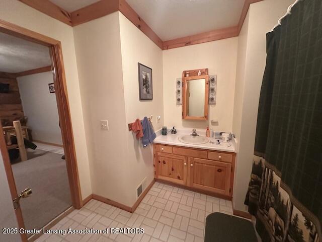 10886 SE Gillow Rd, Fife Lake, MI 49633 - full bath featuring vanity and brick patterned floors
