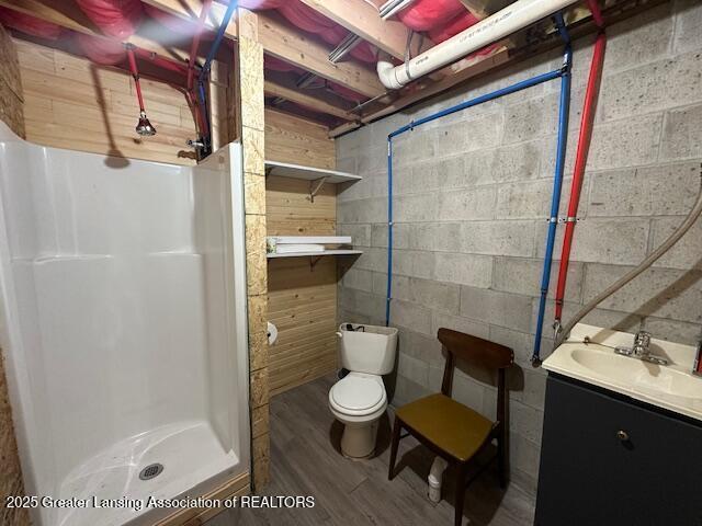 10886 SE Gillow Rd, Fife Lake, MI 49633 - bathroom featuring vanity, wood finished floors, a shower stall, and concrete block wall