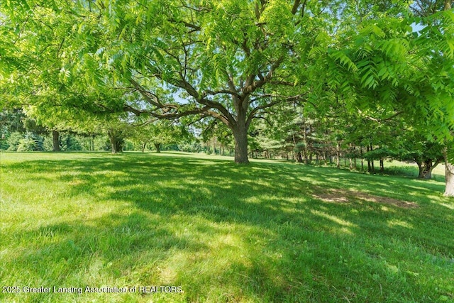 1754 S College Rd, Mason, MI 48854 - view of green lawn
