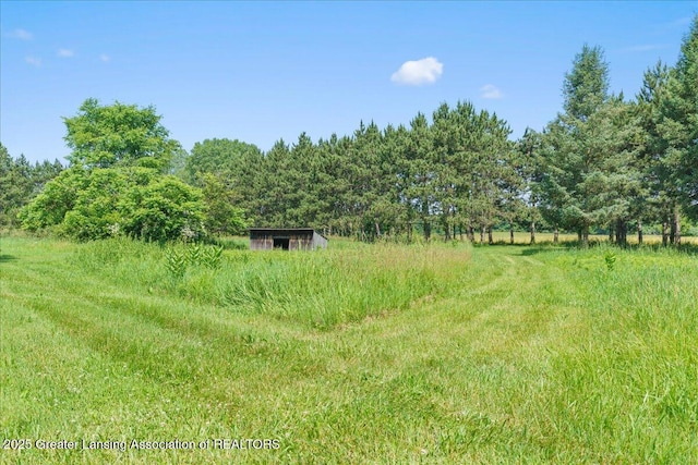 1754 S College Rd, Mason, MI 48854 - view of woods featuring a rural view