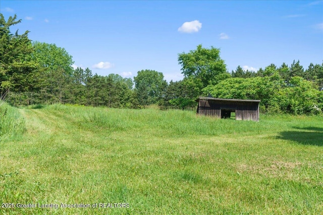 1754 S College Rd, Mason, MI 48854 - view of yard featuring a forest view and an outbuilding