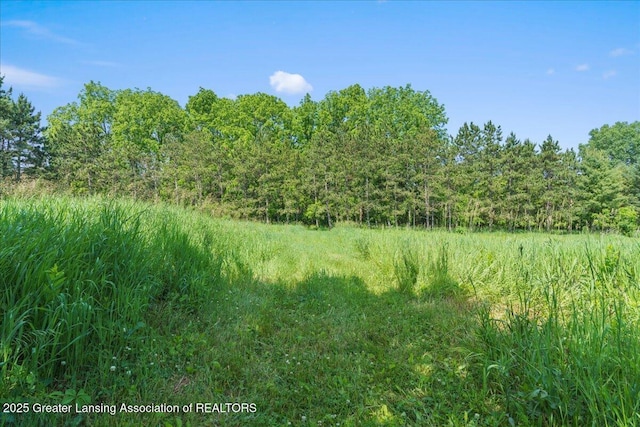 1754 S College Rd, Mason, MI 48854 - view of wooded area