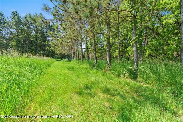 1754 S College Rd, Mason, MI 48854 - view of local wilderness